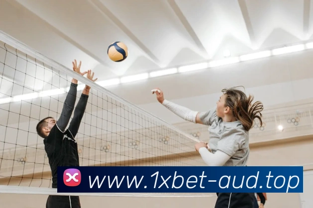 多媒体互动体验